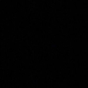 Meet your Posher, Celynn